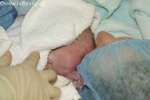 Bild-0004071 Bild-0004071