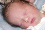 Bild-0004091 Bild-0004091