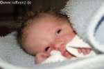 Bild-0004109 Bild-0004109