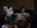 Bild-0005050 Bild-0005050