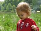 Bild-0006437 Bild-0006437