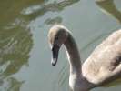 Bild-0005179 Bild-0005179