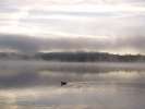 Bild-0005385 Bild-0005385
