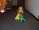 Bild-0007674 Bild-0007674