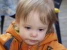 Bild-0008794 Bild-0008794