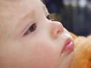 Bild-0008801 Bild-0008801