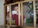 Bild-0008814