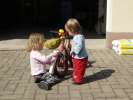 Bild-0006771 Bild-0006771