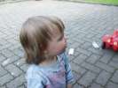 Bild-0006772 Bild-0006772