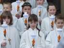 Bild-0008440 Bild-0008440