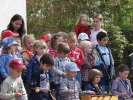 Bild-0008525 Bild-0008525
