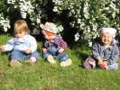 Bild-0008540 Bild-0008540