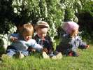 Bild-0008543 Bild-0008543