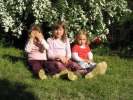 Bild-0008546 Bild-0008546