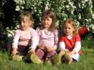 Bild-0008549 Bild-0008549