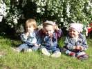 Bild-0008581 Bild-0008581