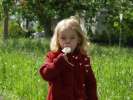 Bild-0008604 Bild-0008604