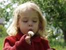 Bild-0008608 Bild-0008608