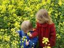 Bild-0008649 Bild-0008649