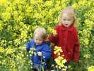 Bild-0008651 Bild-0008651
