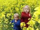 Bild-0008652 Bild-0008652