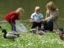 Bild-0008662 Bild-0008662