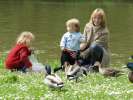 Bild-0008664 Bild-0008664