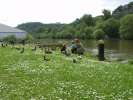 Bild-0008666 Bild-0008666