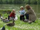 Bild-0008671 Bild-0008671