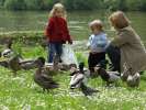 Bild-0008672 Bild-0008672