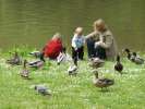 Bild-0008681 Bild-0008681