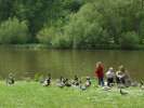 Bild-0008685