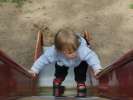 Bild-0008729 Bild-0008729