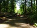 Bild-0008741 Bild-0008741