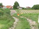 Bild-0008028 Bild-0008028