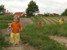Bild-0008033