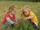 Bild-0008043 Bild-0008043