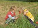 Bild-0008044 Bild-0008044