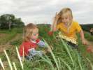 Bild-0008046 Bild-0008046