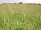 Bild-0008102 Bild-0008102