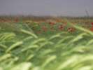 Bild-0008113 Bild-0008113