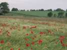 Bild-0008116 Bild-0008116