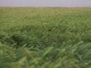 Bild-0008124 Bild-0008124