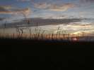 Bild-0008131 Bild-0008131