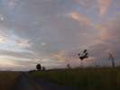 Bild-0008136 Bild-0008136