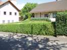 Bild-0008170