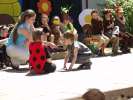 Bild-0008273 Bild-0008273