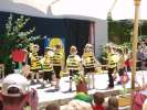 Bild-0008284