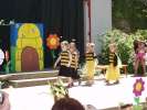 Bild-0008292 Bild-0008292