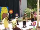 Bild-0008293 Bild-0008293